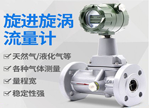 氣體旋進旋渦流量計