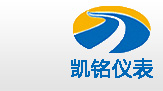 金湖蜜桃视频成人儀表有限公司LOGO
